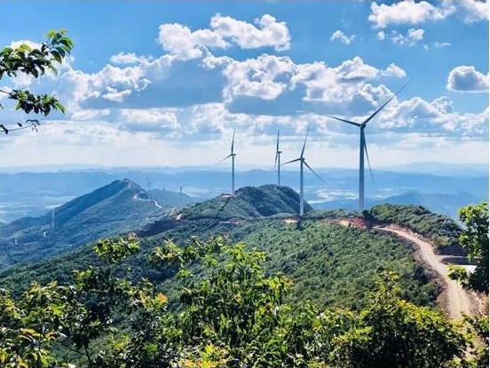 ���������ʡ����󡢹���ί����ǡ����Ρ�������ҵ�ĸ�